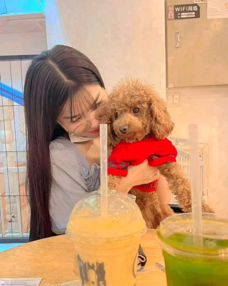 រូបភាពបង្ហោះដោយ Bell