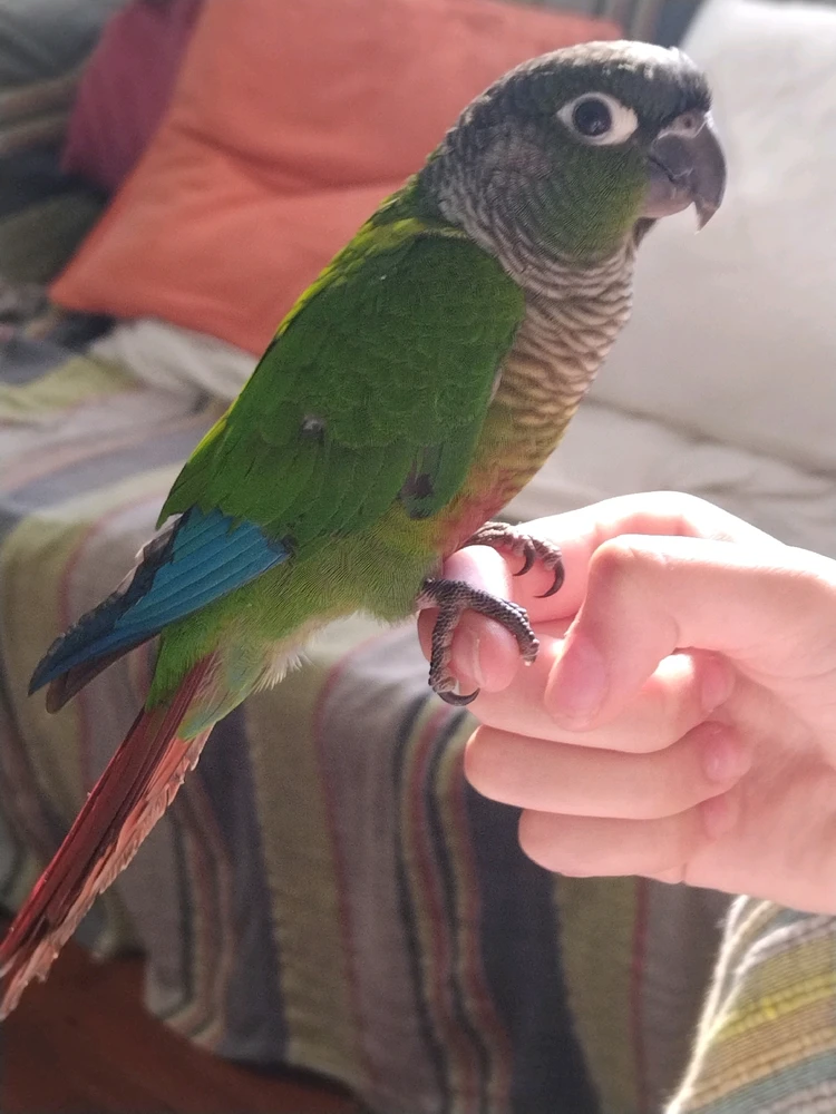 Image uploaded by Naomh