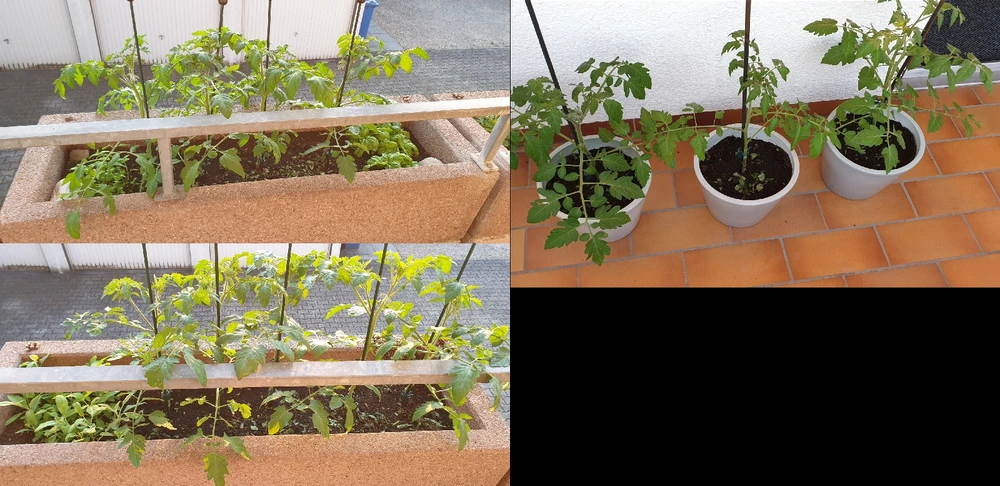 Bild hochgeladen von Pascal