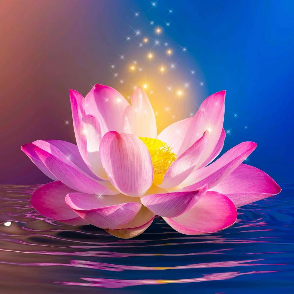 Image uploaded by Ncho-Chi