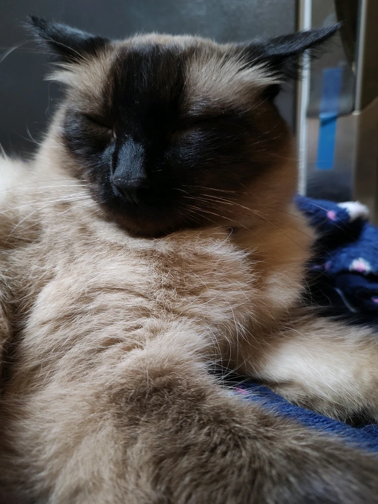 Image uploaded by Jesica