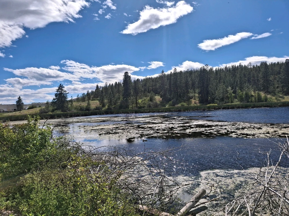 Image uploaded by Aiden