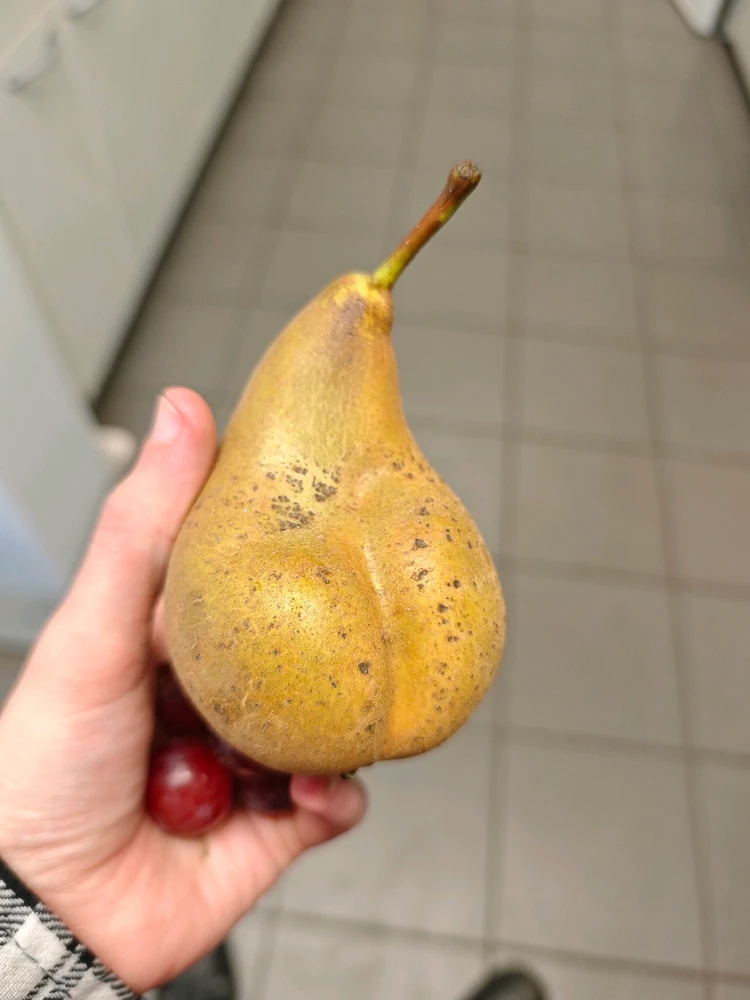 Bild hochgeladen von Jacky