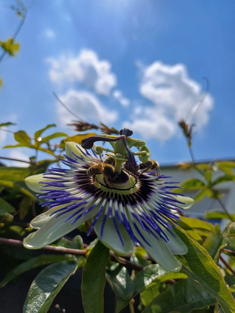 Bild hochgeladen von Luca