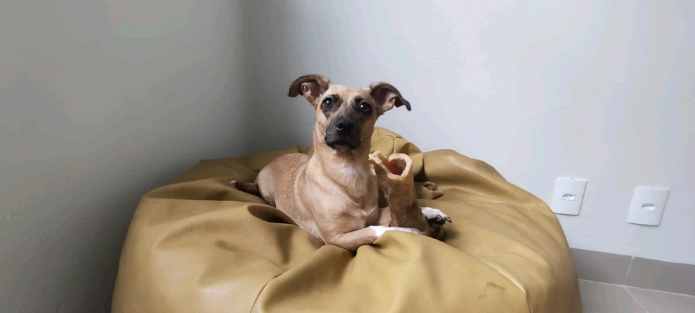 Imagem enviada por Renato Mendonça