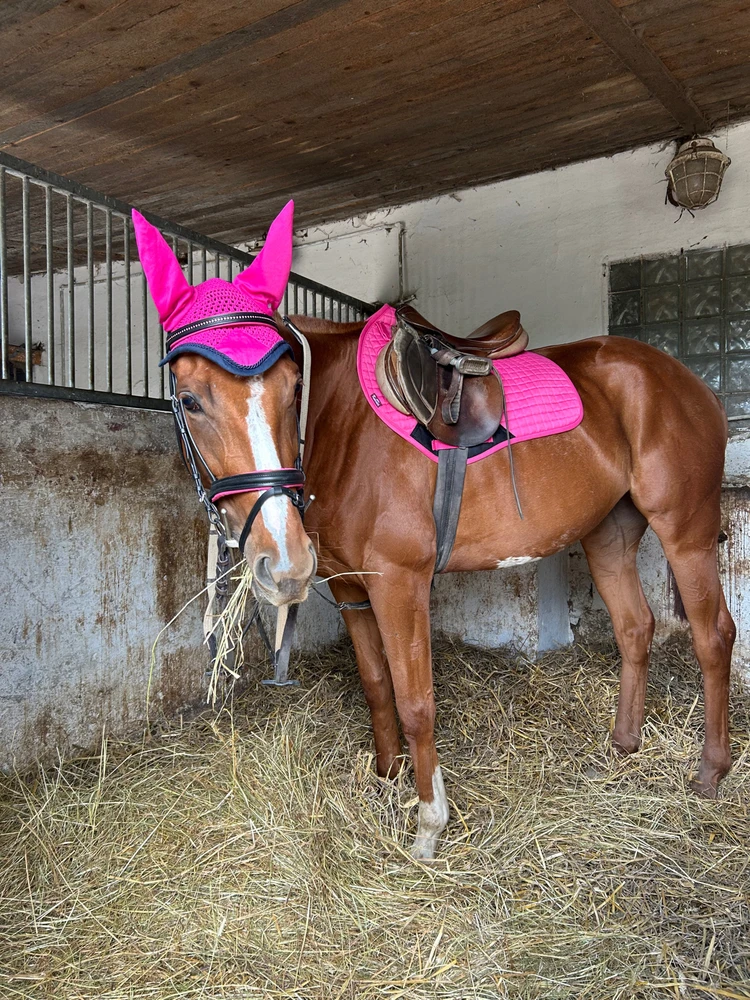 Obrázek nahrál Berta