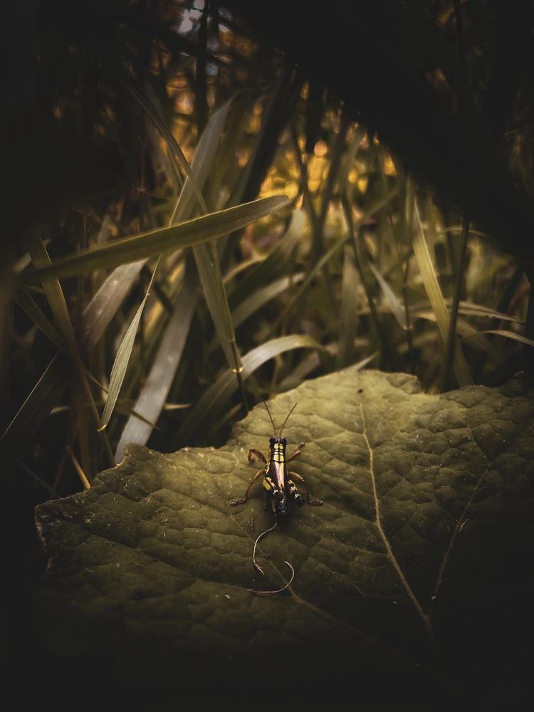 Immagine caricata da Miki