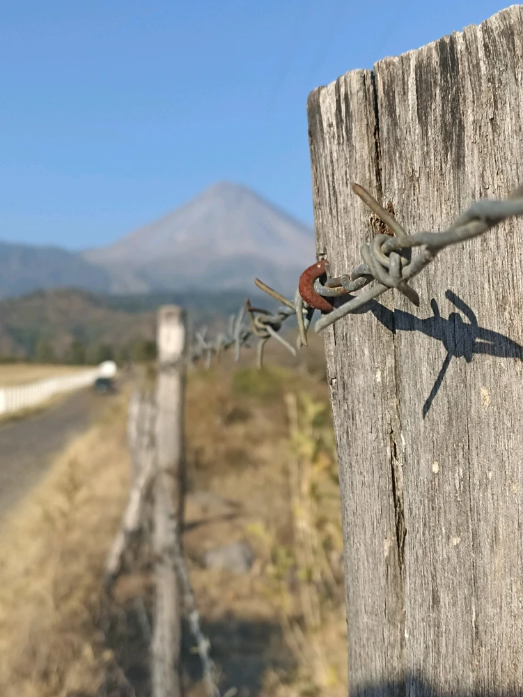 Image uploaded by Norberto