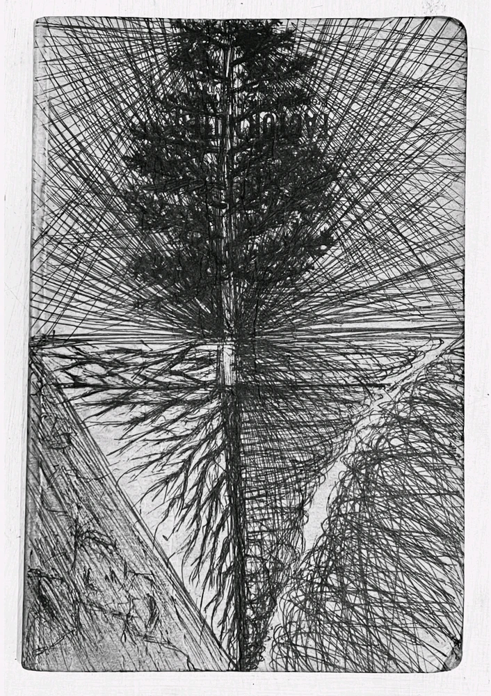 Image uploaded by What’s in a name?