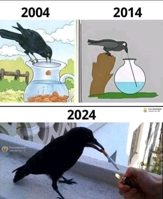 Bild hochgeladen von Khemais