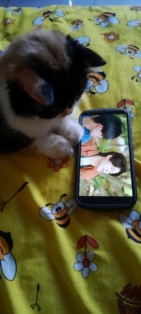 Gi-upload ni Rika ang hulagway