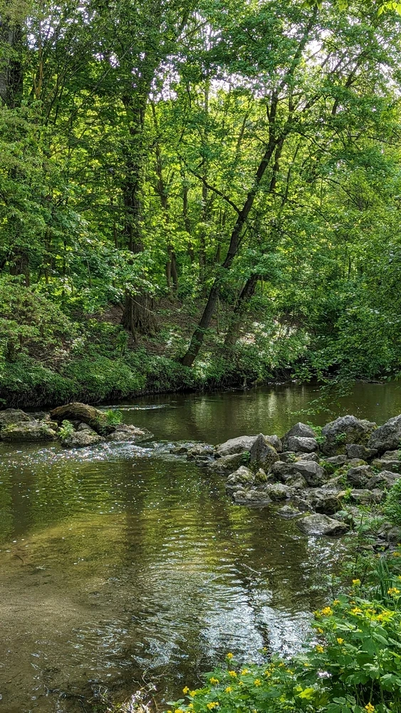 Зображення завантажив Serhii