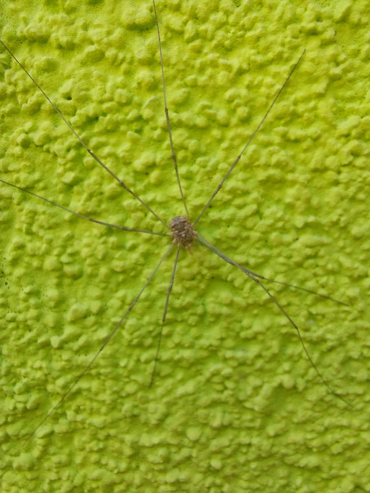 Obrázek nahrál Táňa