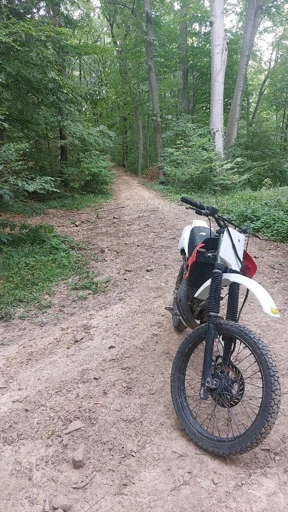 Image uploaded by Marko