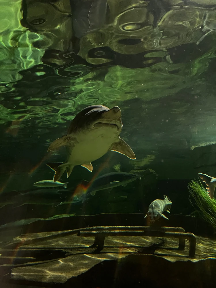 Nuotrauką įkėlė Jurida