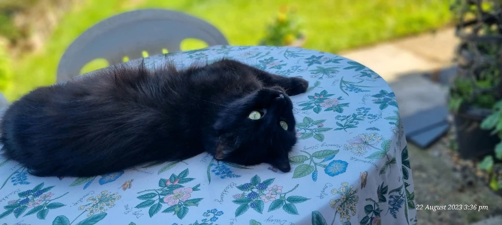 Image uploaded by Angie