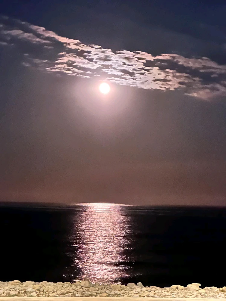 Imatge pujada per Leinad