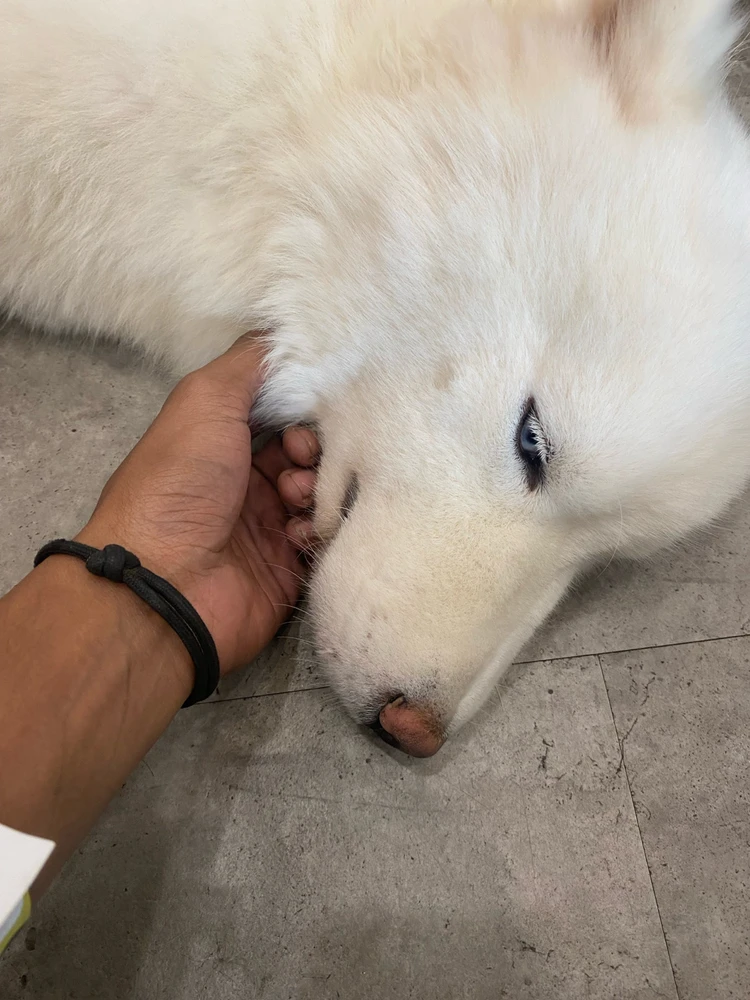 Gambar diunggah oleh nathan