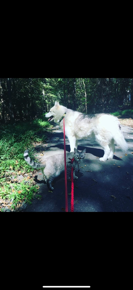 Image uploaded by Darth