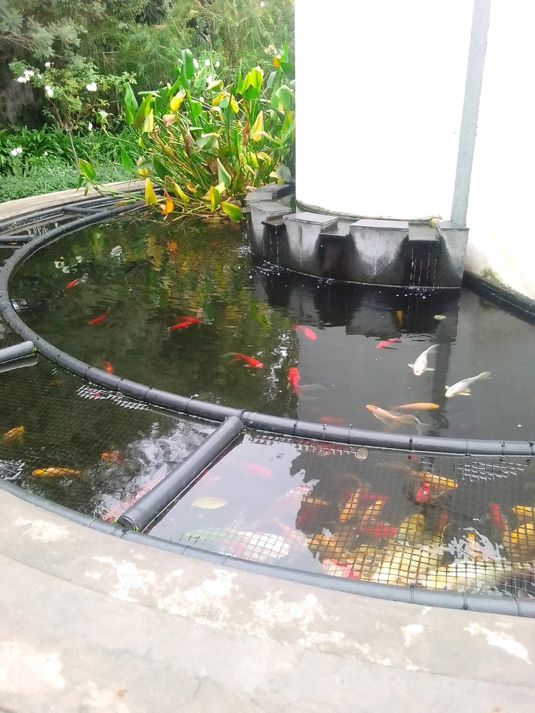Image uploaded by Sandz