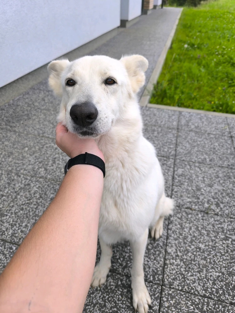 Obrázek nahrál Vašek