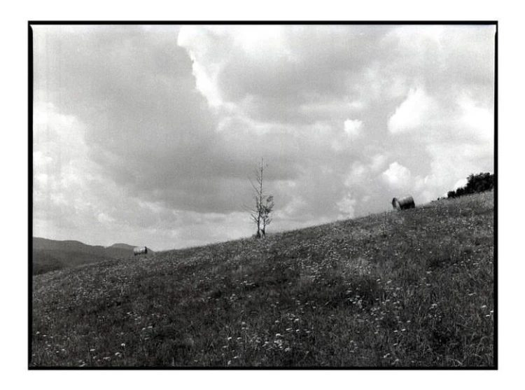 Obrázek nahrál Irónia