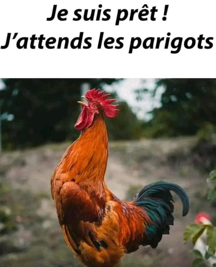 Image ajoutée par Ꭻລԁ𝙚