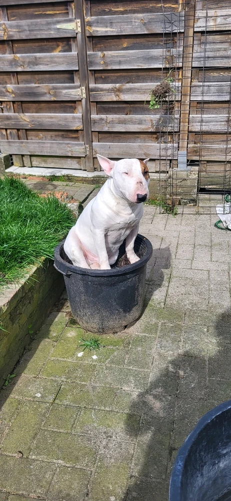 Immagine caricata da Roberto