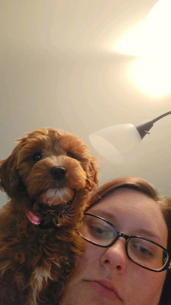 Image uploaded by Ashlie