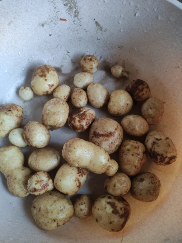 Image uploaded by Cornelius