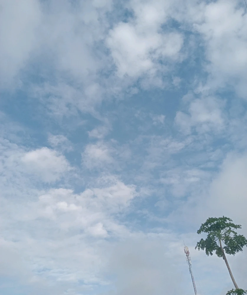 Image uploaded by Leng Leng