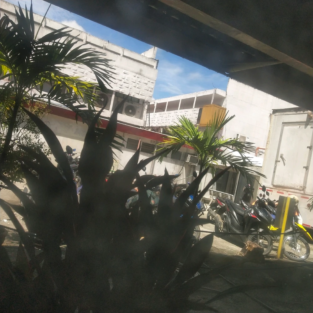 Image uploaded by Luna