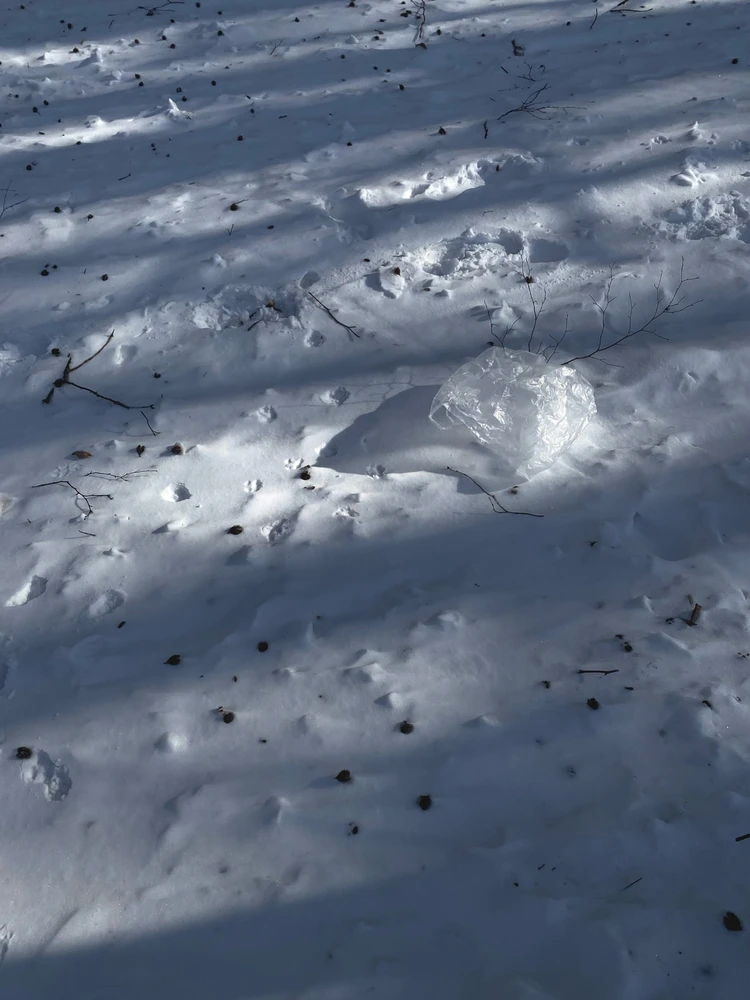 Obrázek nahrál Irónia