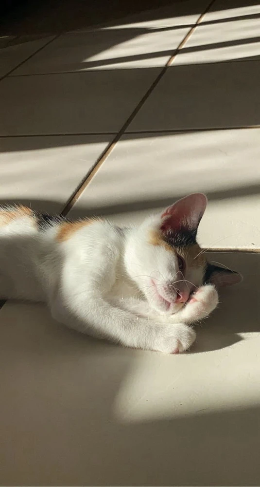 Image uploaded by Anzar