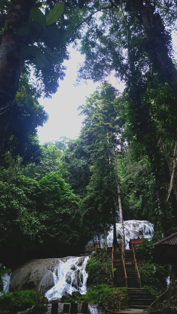 Gambar diunggah oleh Tira