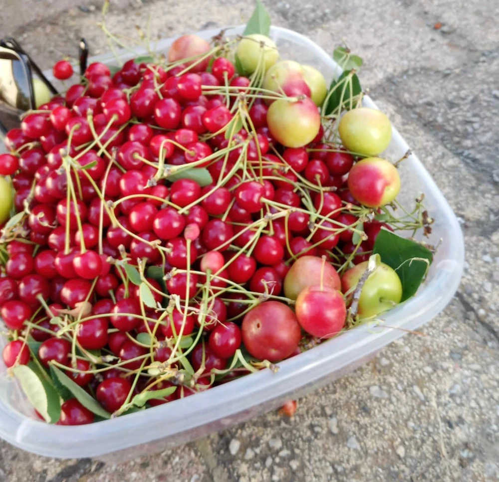 Mehmet tarafından yüklenen görsel
