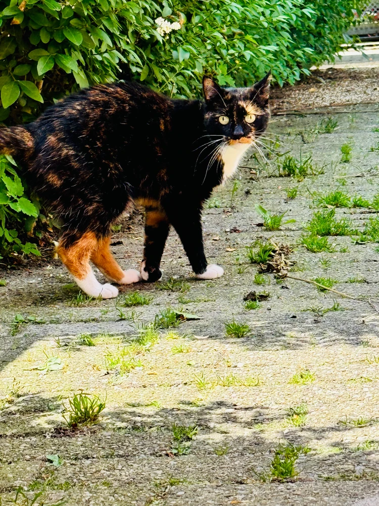 Afbeelding geüpload door Maikel