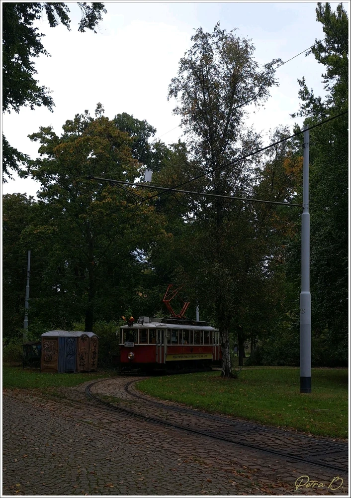 Image uploaded by Petra