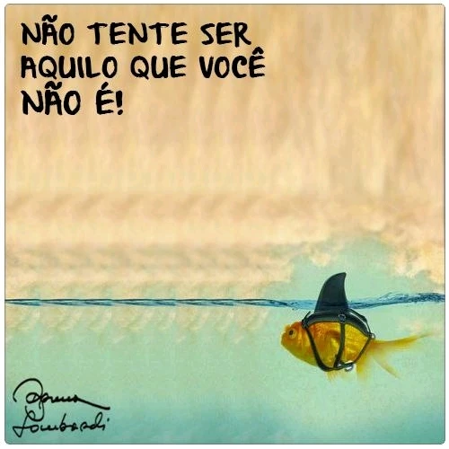 Imagem enviada por Vinicius ✍🏻🚀