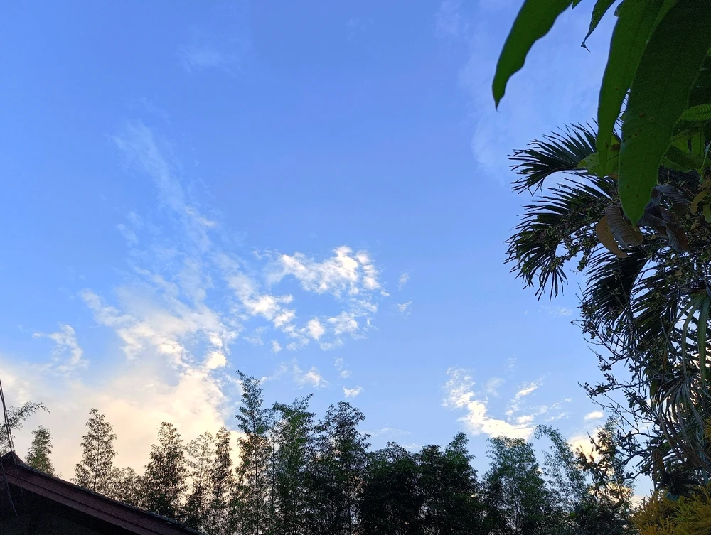 รูปที่อัพโหลดโดย Peach