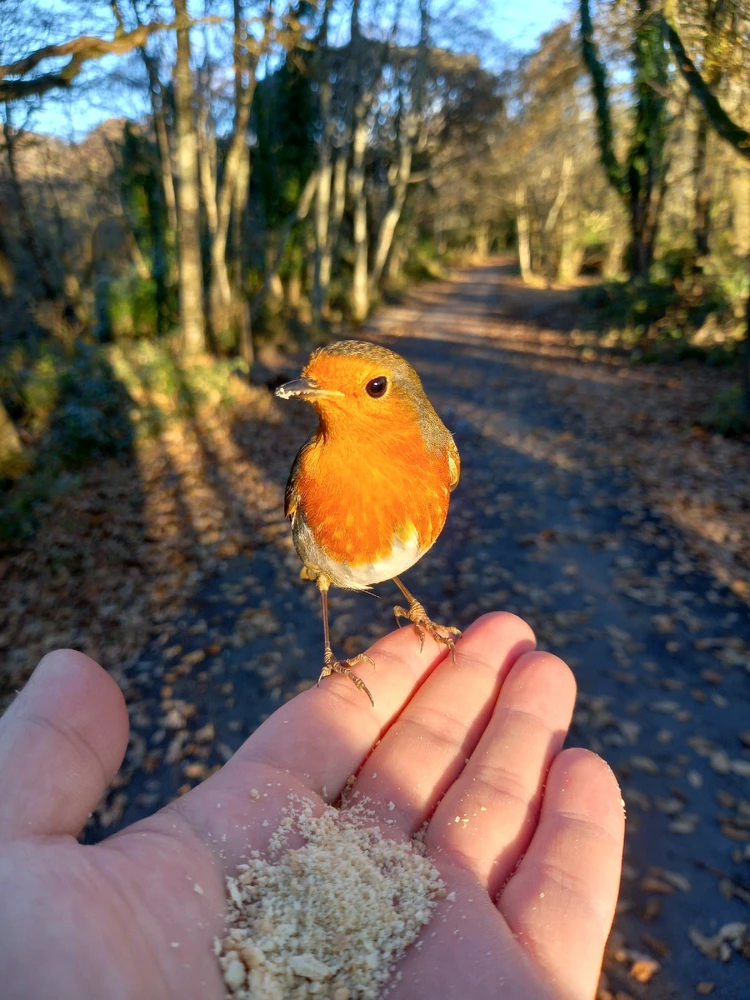 Image uploaded by Andy