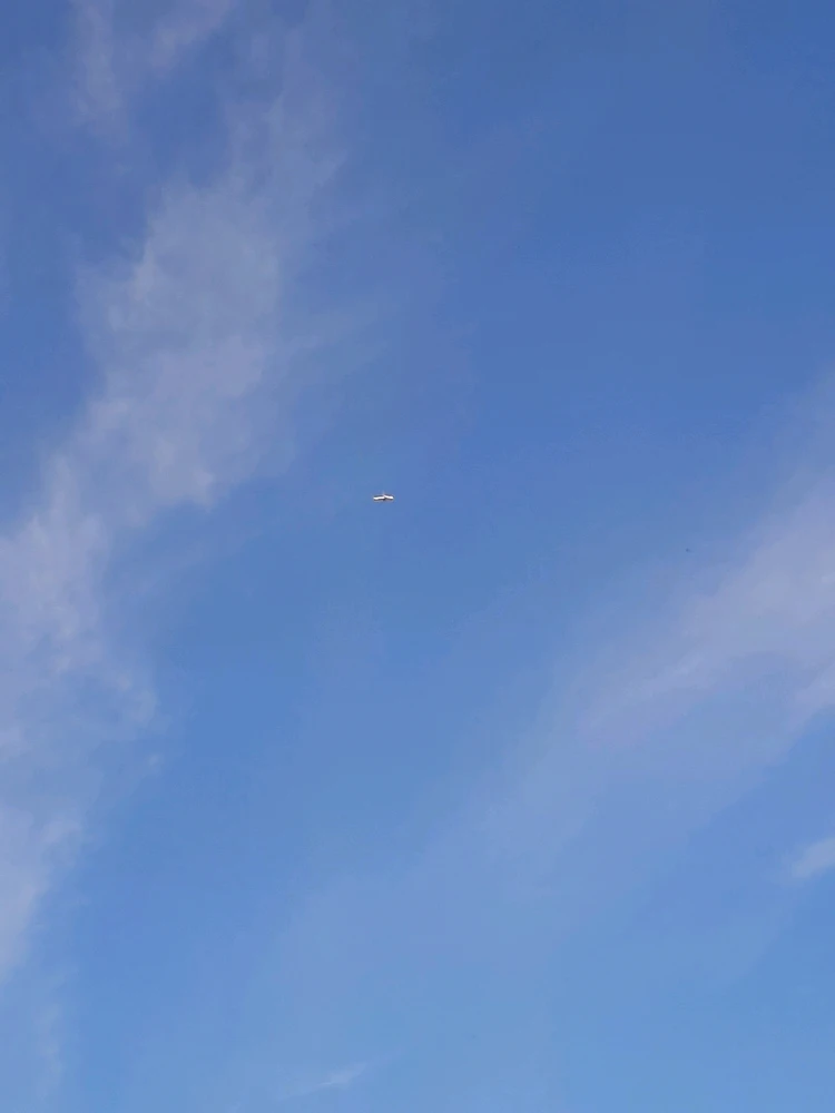 Image uploaded by L 🌙 ane