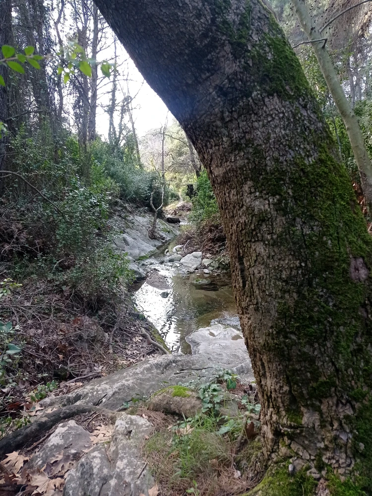 Εικόνα από Ιάσονας