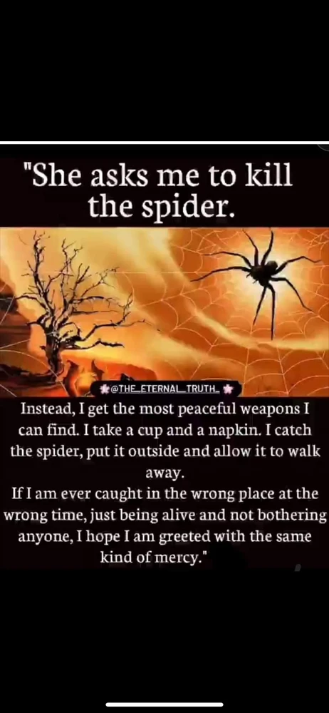 Image uploaded by Luke