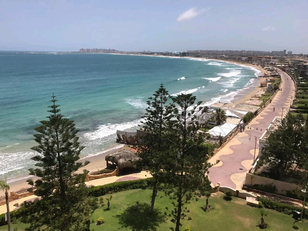 صورة رفعها dola