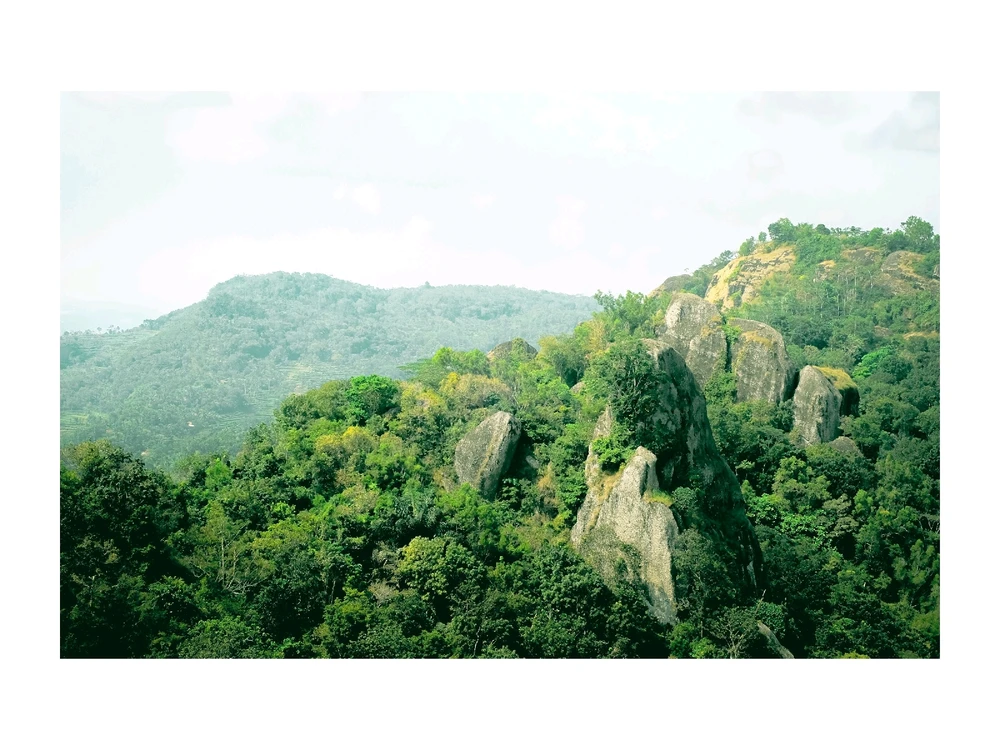 Gambar diunggah oleh Reza