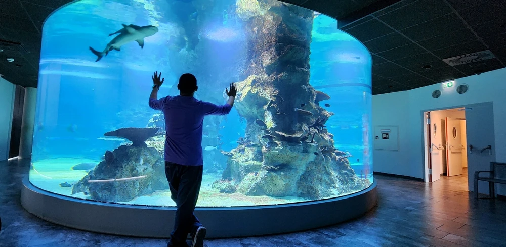 Image uploaded by Wajeeh