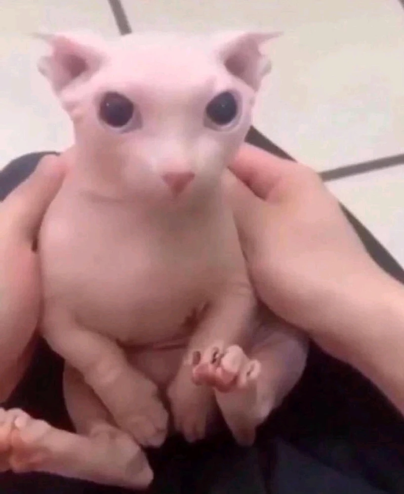 Image uploaded by Kevin