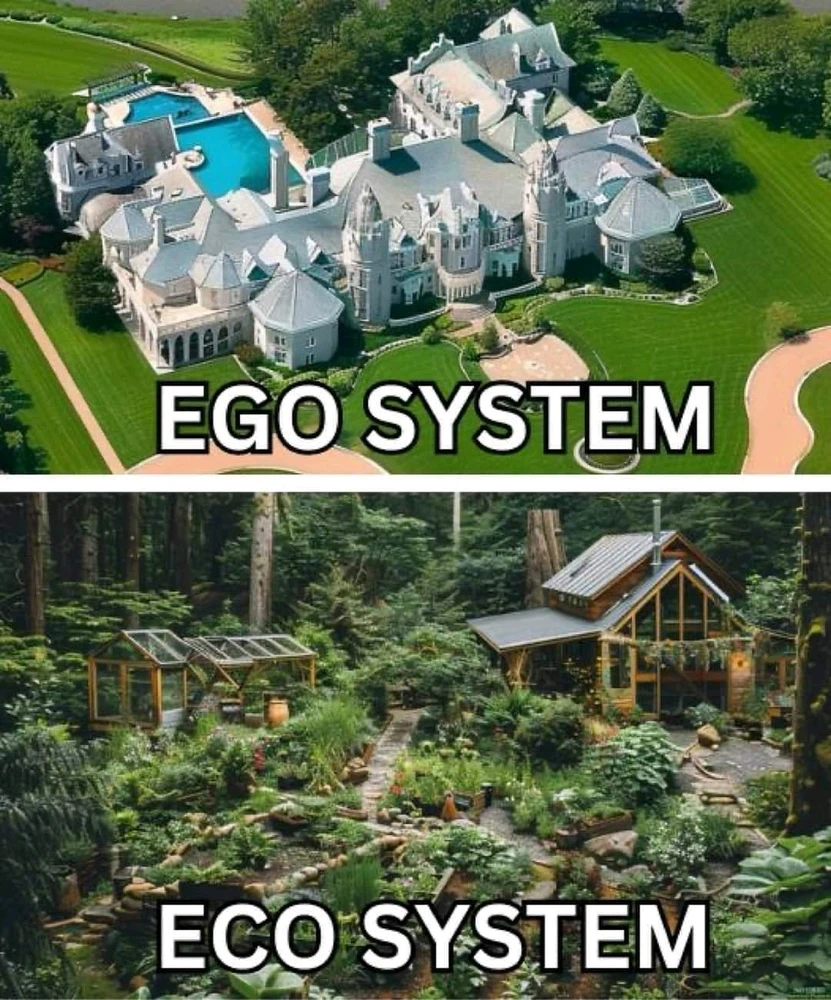 Image uploaded by Jaivignesh S