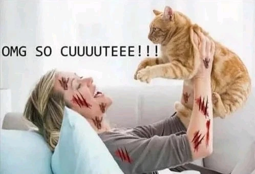 Obrázek nahrál Jiří Bohuslav